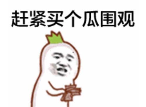 吃瓜群众翻译成英语,From Gossipy Spectators: A Glimpse into the Buzz of the Public Eye